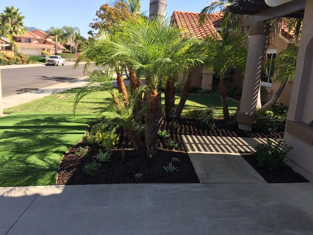 Custom yard cleanup service experts serving Capistrano Beach, CA - JP & T Landscape