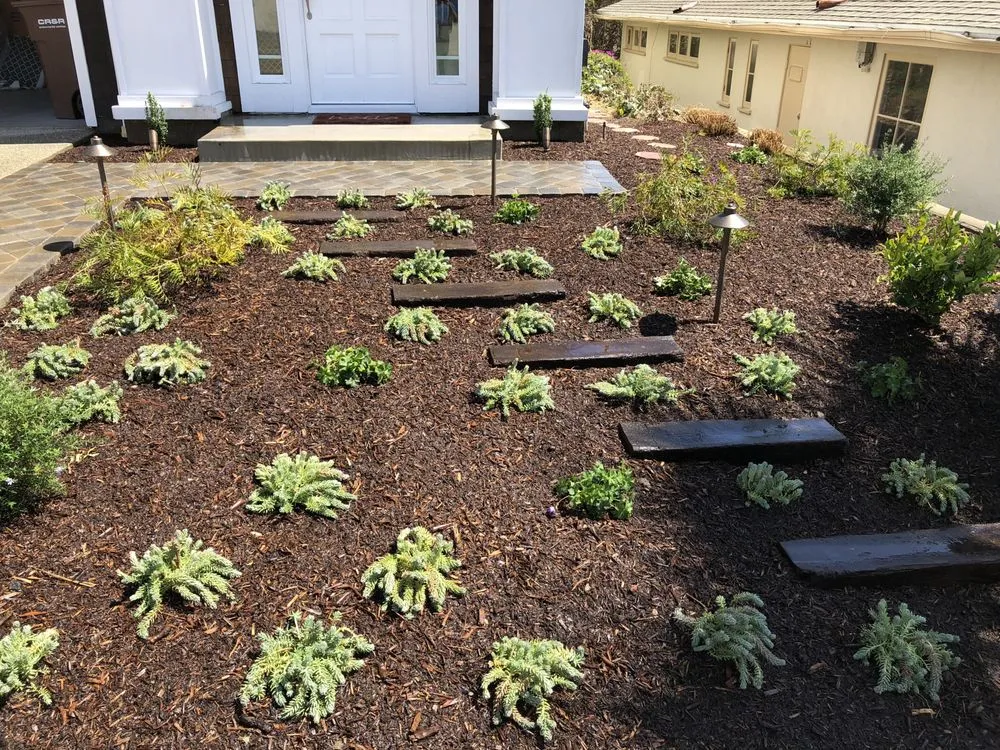 Affordable outdoor landscaping near you across Capistrano Beach, CA - JP & T Landscape