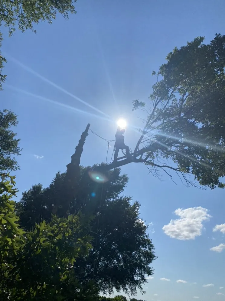 Trusted lawn care service in McAlester, OK - JP All American