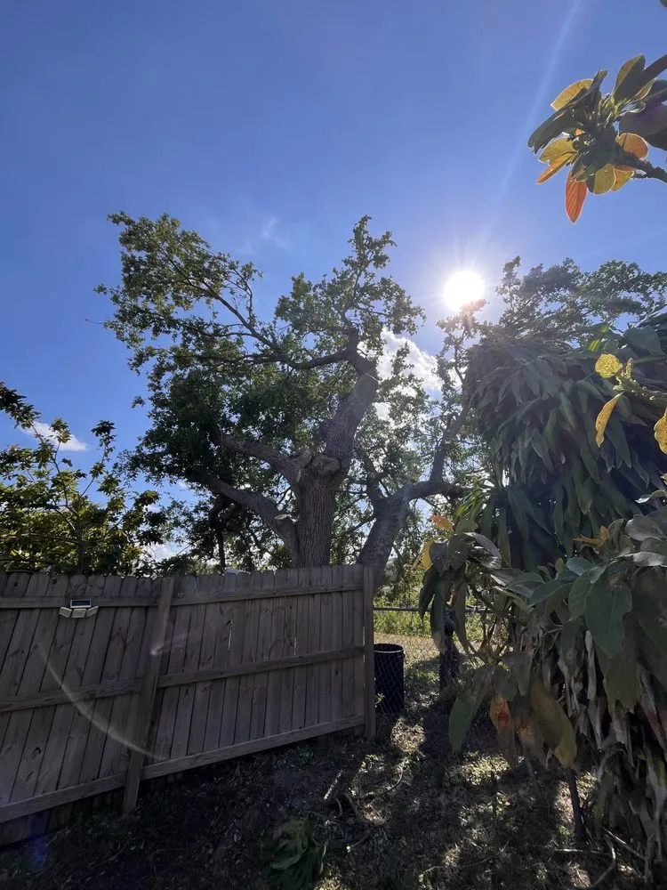 Local lawn mowing service for homes in Tamarac, FL by Jp And Laurent Landscaping