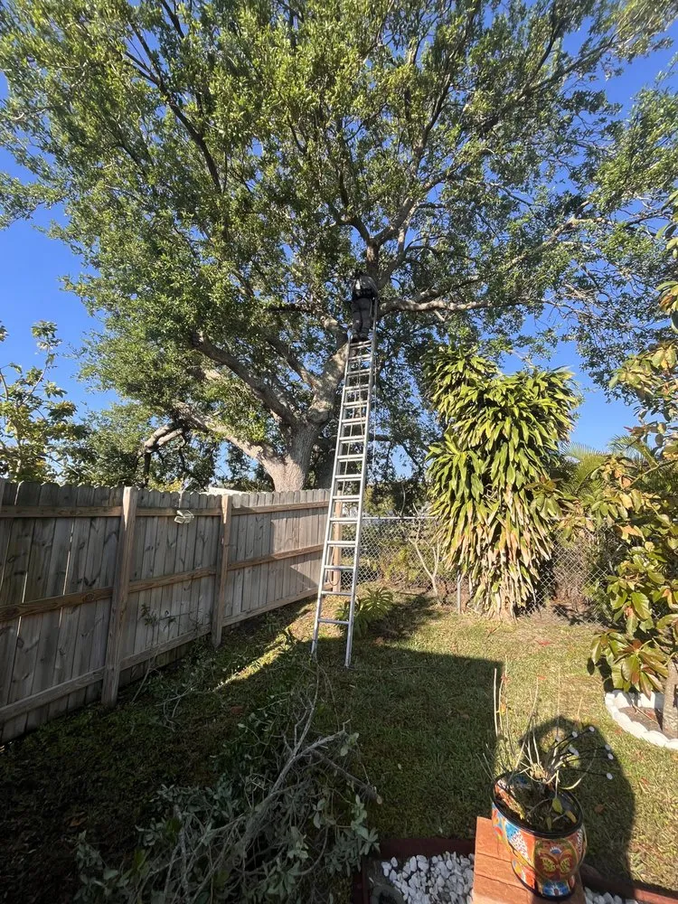 Reliable lawn care service near you in Tamarac, FL by Jp And Laurent Landscaping