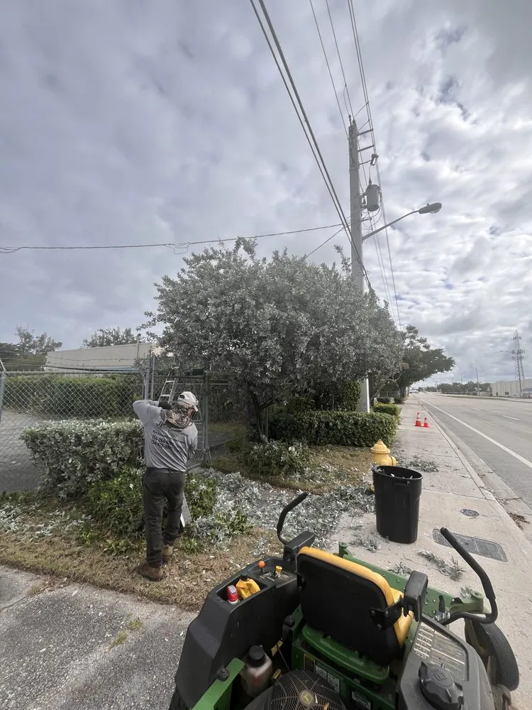 Custom residential landscaping for year-round maintenance across Tamarac, FL - Jp And Laurent Landscaping