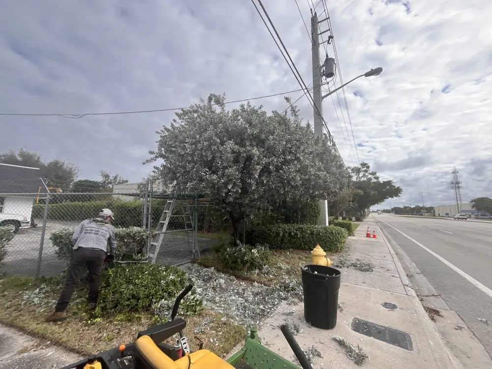 Professional lawn mowing service experts serving Tamarac, FL - Jp And Laurent Landscaping