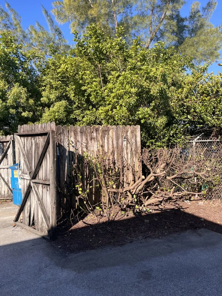 Custom outdoor landscaping in Tamarac, FL by Jp And Laurent Landscaping