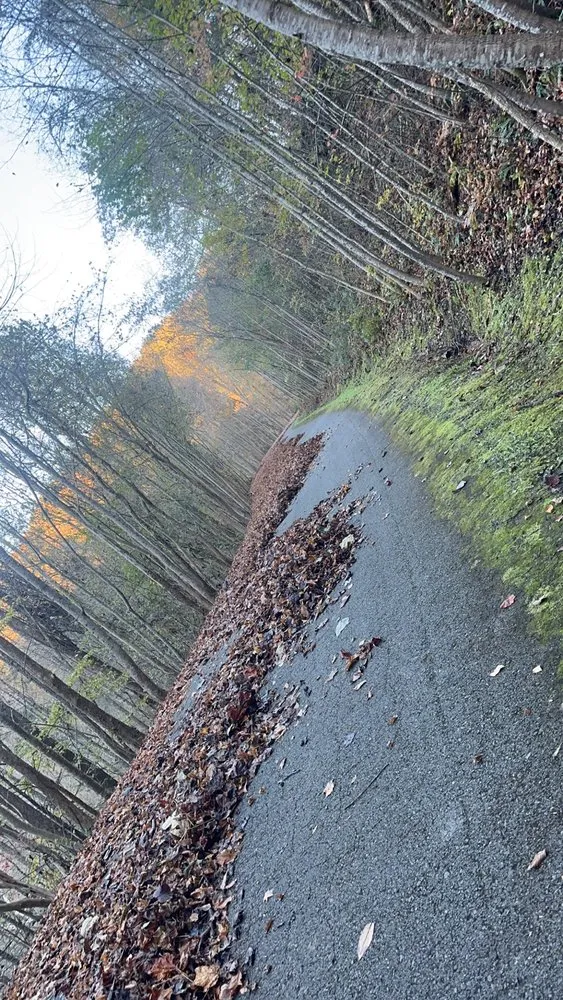 Professional lawn care service in Newport, TN by JP Barnes Lawn Care