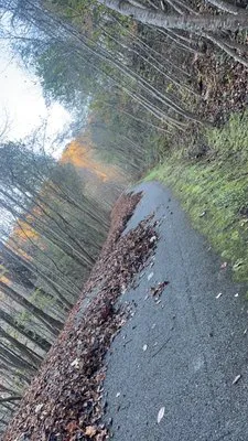 JP Barnes Lawn Care Logo