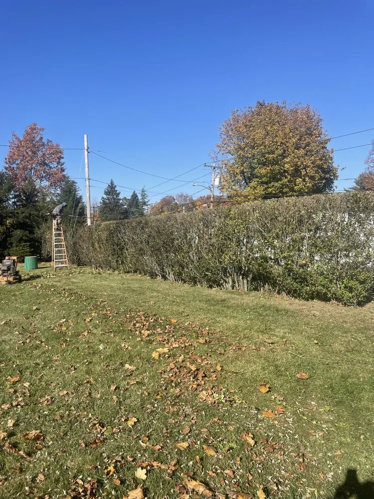 Top-rated yard cleanup service in Huntington Station, NY by JP Company