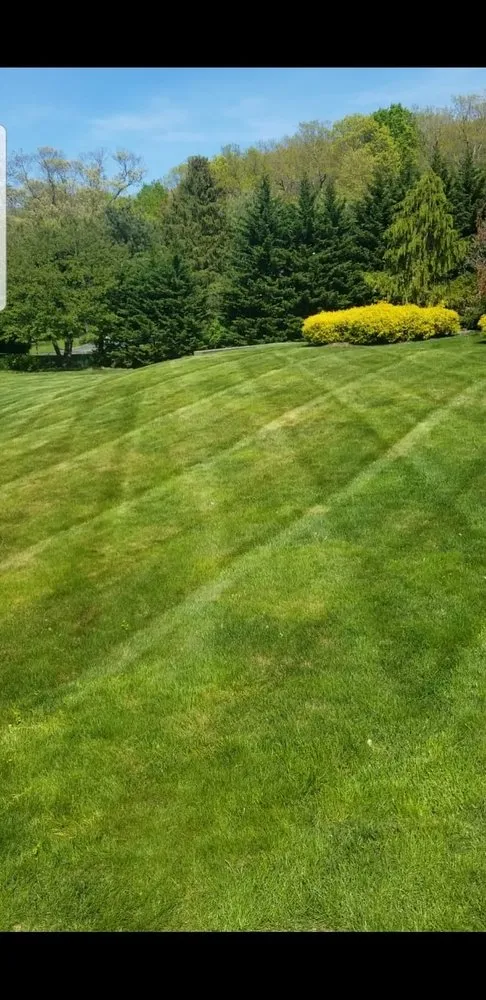 Custom lawn care service for beautiful yards in Huntington Station, NY by JP Company