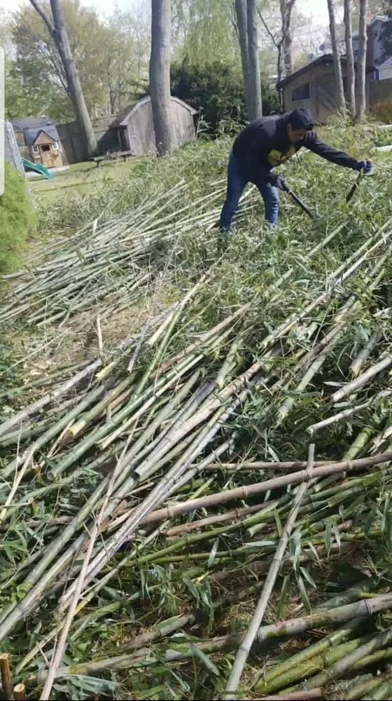 Local yard cleanup service with custom design in Huntington Station, NY by JP Company