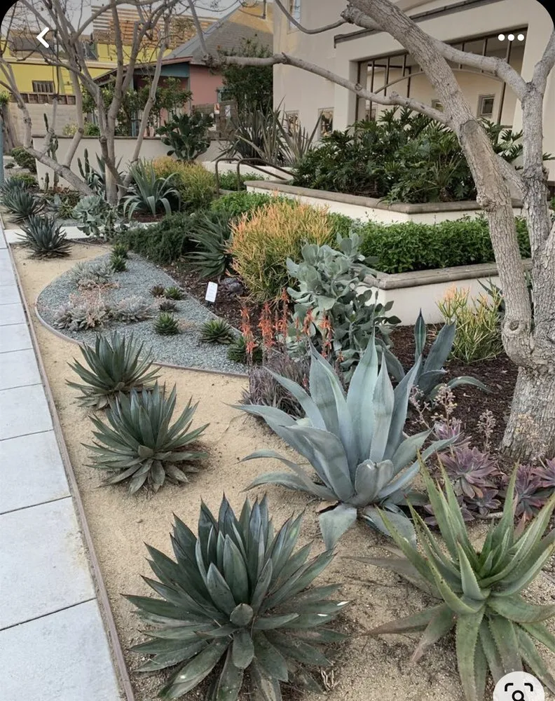 Professional yard maintenance experts serving Redwood City, CA - JP Concrete And Hardscaping