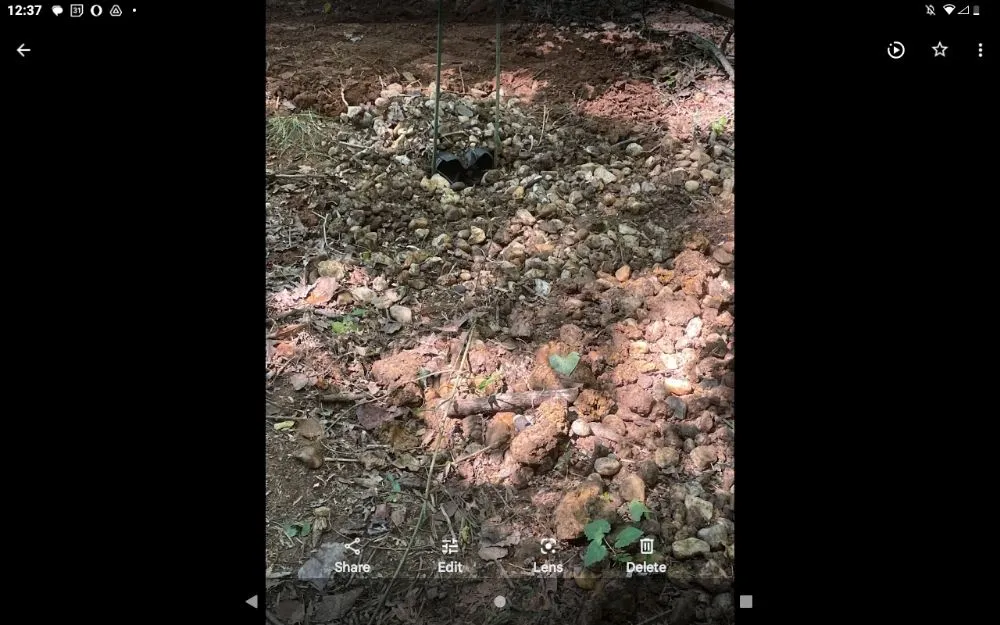 Professional outdoor landscaping in Stafford, VA - J&P Construction