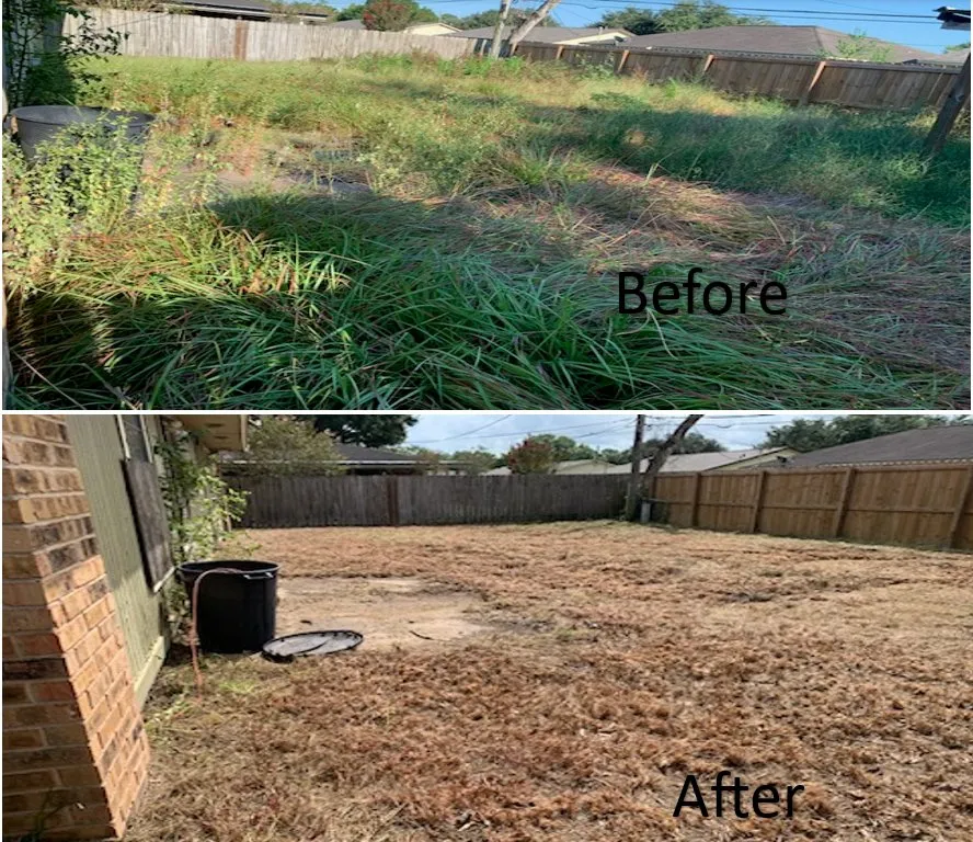 Custom yard maintenance in Bay City, TX by JP Exterior Elevation