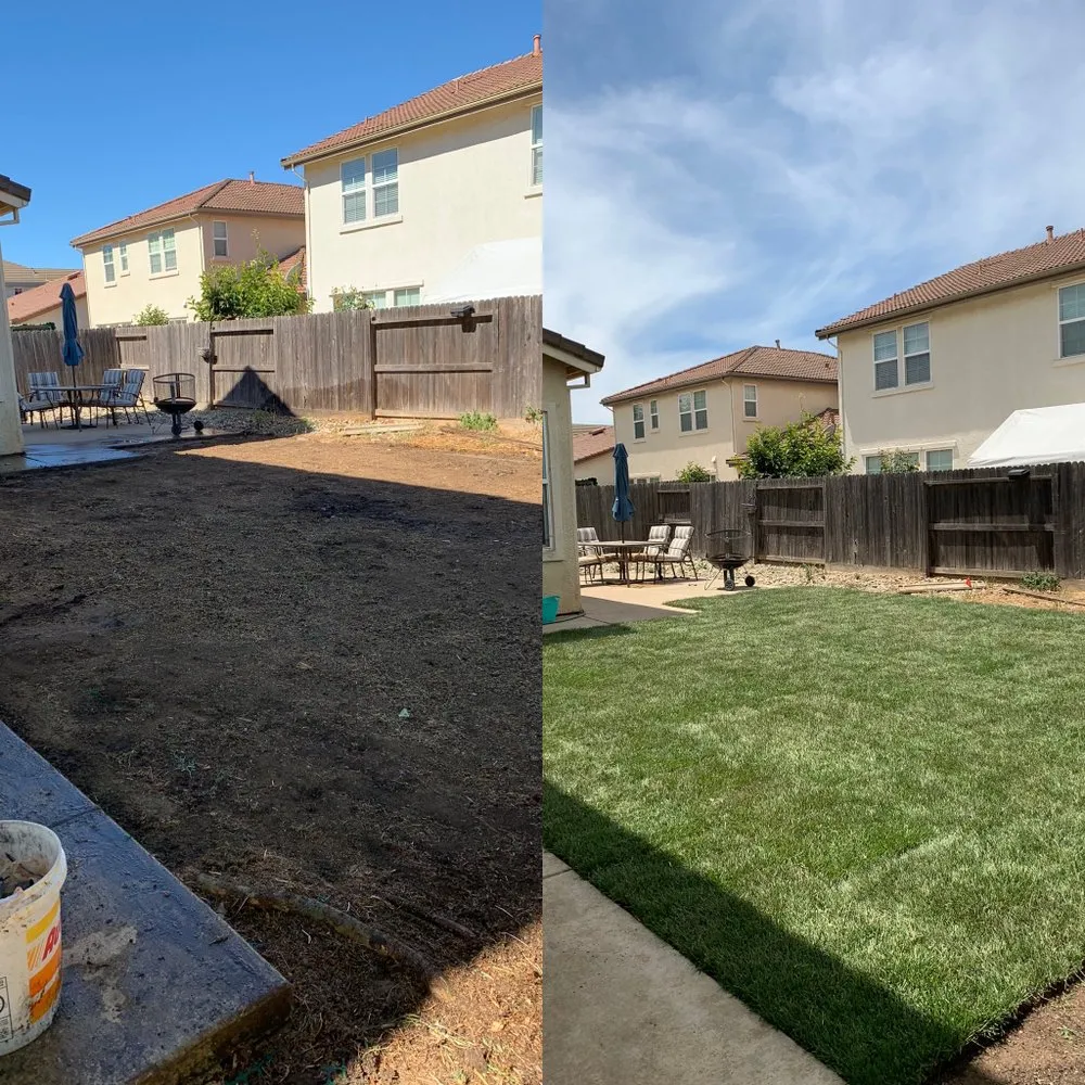 Custom yard cleanup service with custom design across Sacramento, CA - JP Garden