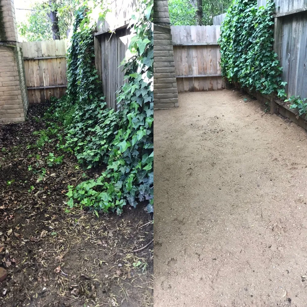 Professional garden landscaping for year-round maintenance across Sacramento, CA - JP Garden