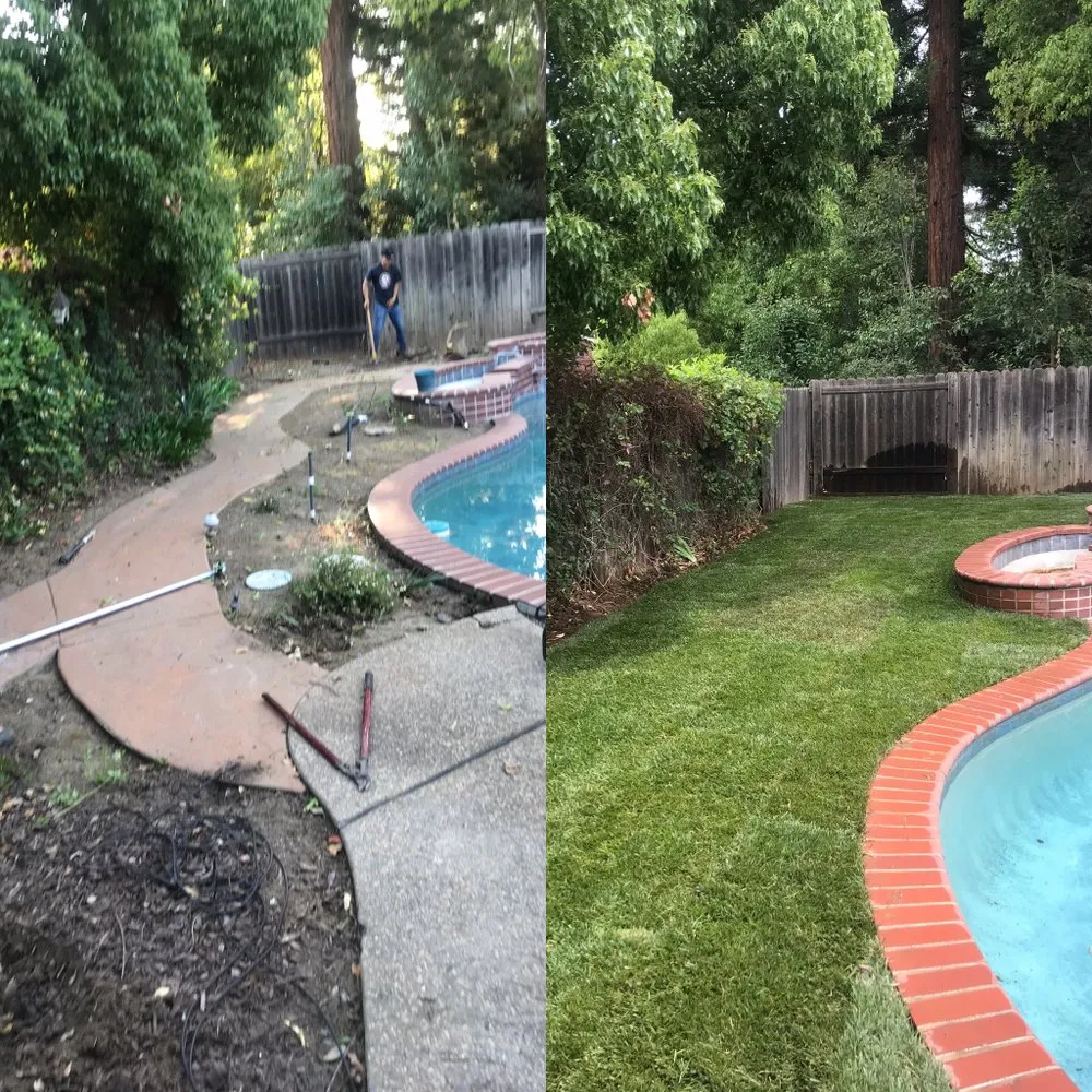 Top-rated lawn care service experts serving Sacramento, CA - JP Garden