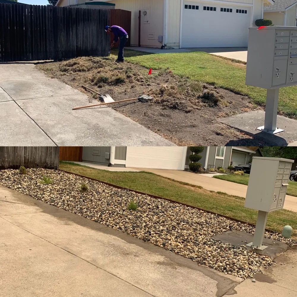 Expert yard cleanup service with custom design in Sacramento, CA by JP Garden