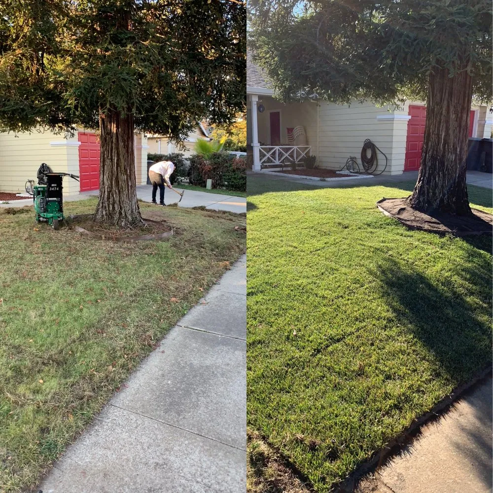 Affordable lawn mowing service with custom design across Sacramento, CA - JP Garden