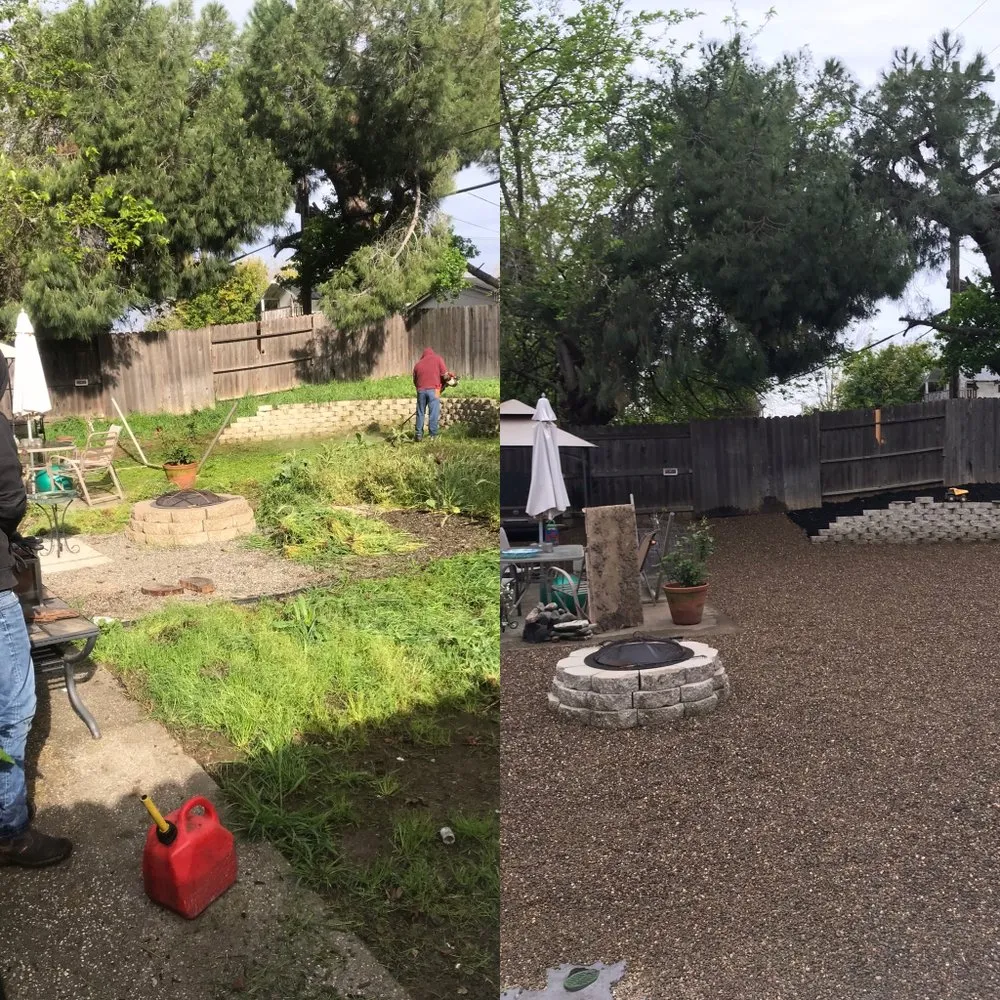 Local landscape design in Sacramento, CA - JP Garden