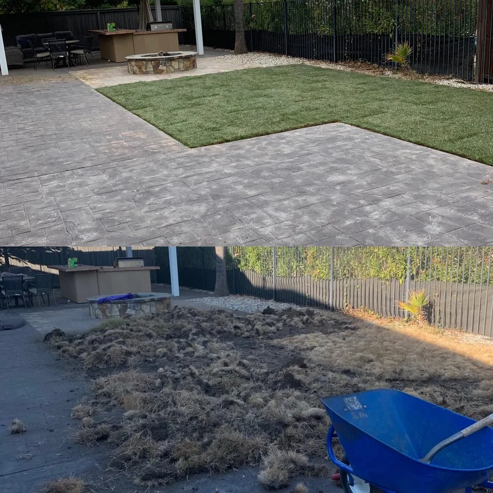 Reliable lawn care service experts serving Sacramento, CA - JP Garden