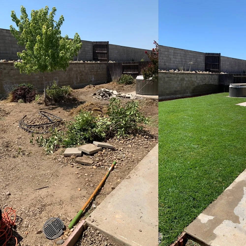 Custom lawn care service in Sacramento, CA - JP Garden