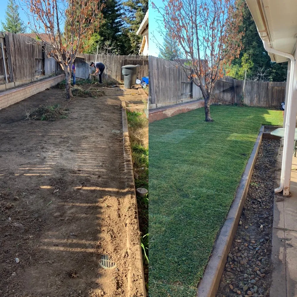 Affordable garden landscaping for outdoor upgrades in Sacramento, CA by JP Garden