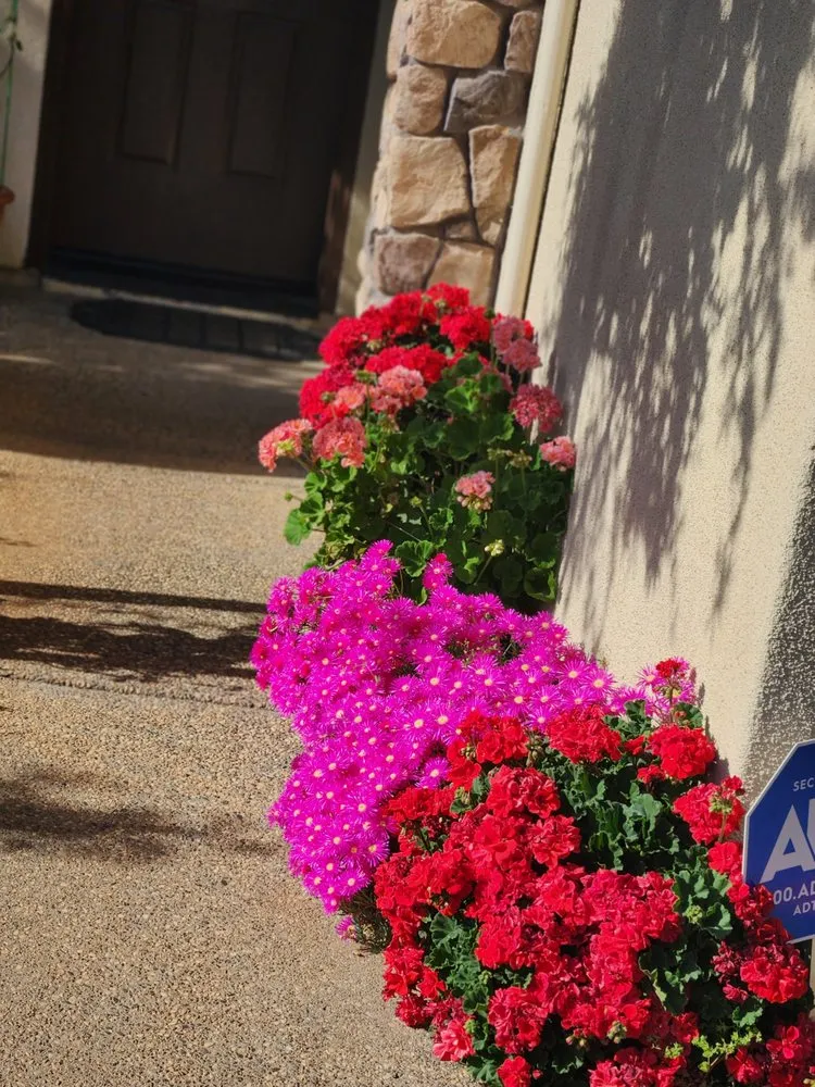 Affordable landscaping services with custom design in Rancho Cordova, CA by JP Gardening & Maintenance