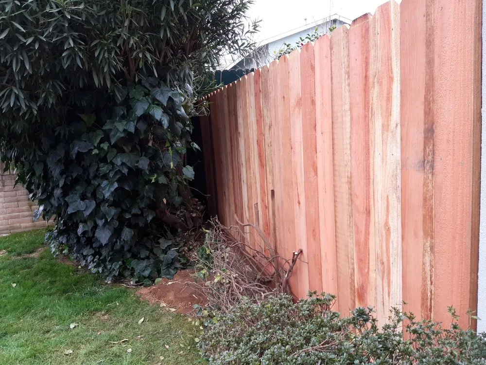 Professional landscape design in Rancho Cordova, CA by JP Gardening & Maintenance