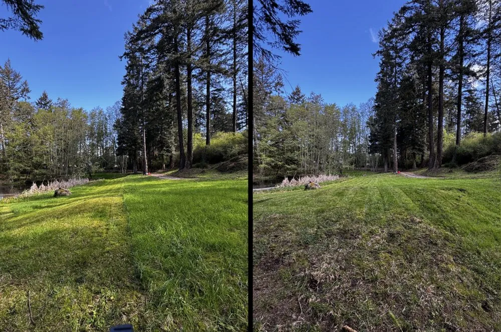 Expert yard maintenance in Olga, WA - JP GreenScape Services