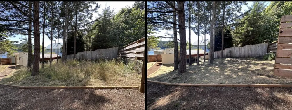 Top-rated garden landscaping in Olga, WA - JP GreenScape Services