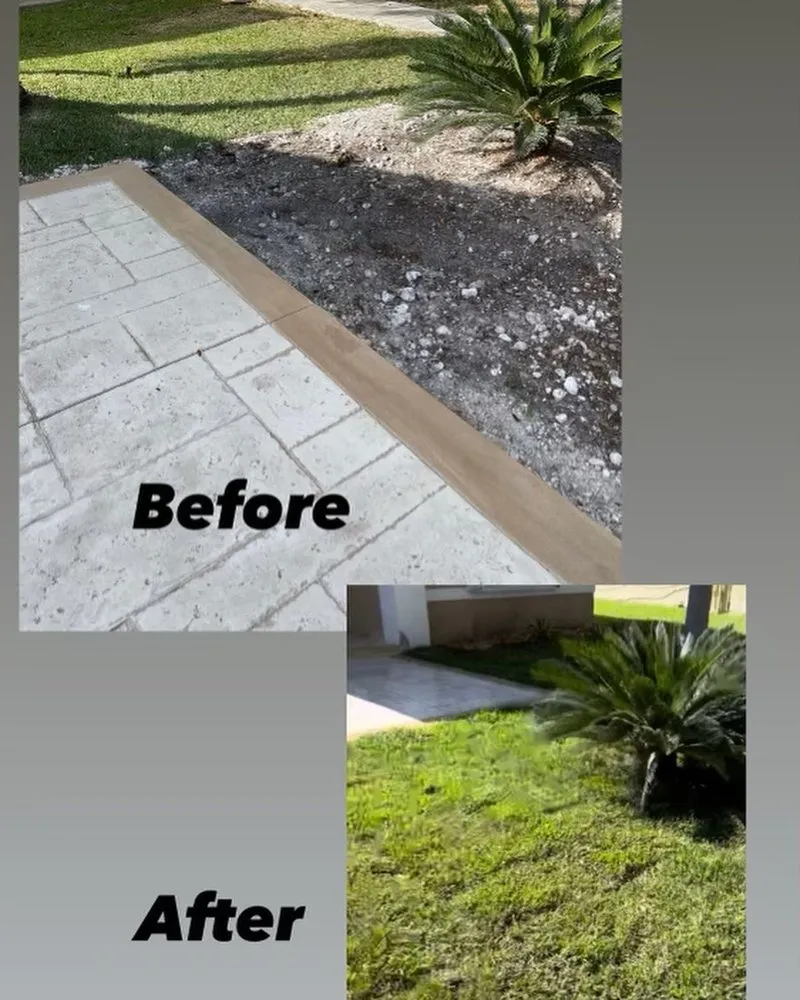 Affordable lawn care service in Hollywood, FL by JP Homes Landscaping & Designs