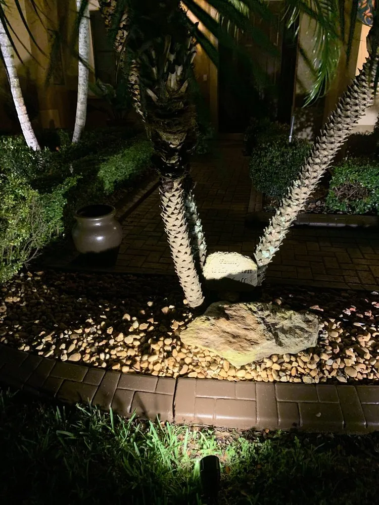 Affordable lawn mowing service in Hollywood, FL - JP Homes Landscaping & Designs