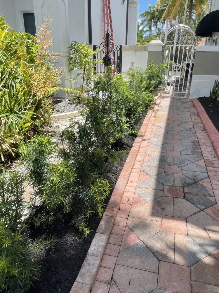 Affordable lawn care service in Hollywood, FL - JP Homes Landscaping & Designs