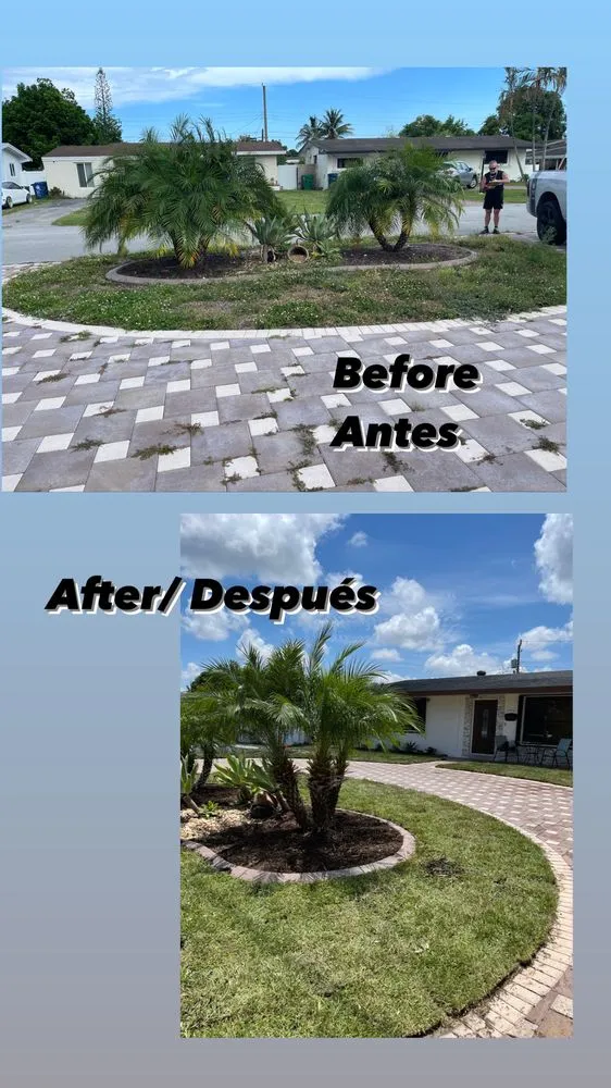 Reliable yard cleanup service with custom design in Hollywood, FL by JP Homes Landscaping & Designs