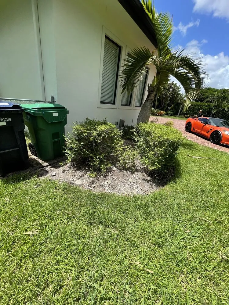 Local landscape installation experts serving Hollywood, FL - JP Homes Landscaping & Designs