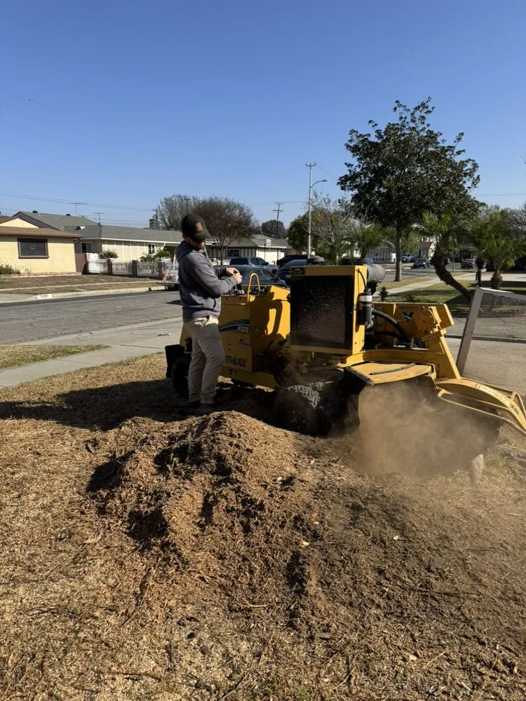 Custom yard maintenance in Long Beach, CA by JP Landcape