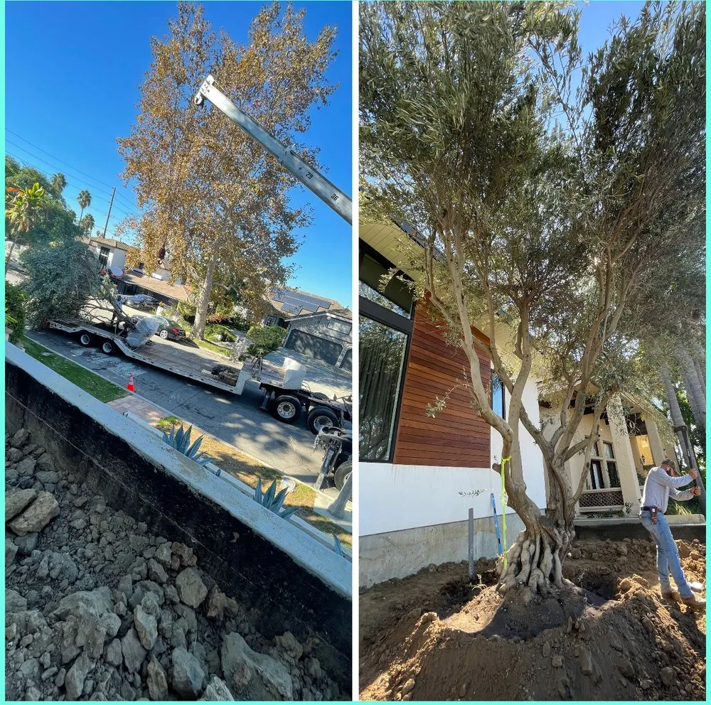 Reliable outdoor landscaping with custom design in Long Beach, CA by JP Landcape