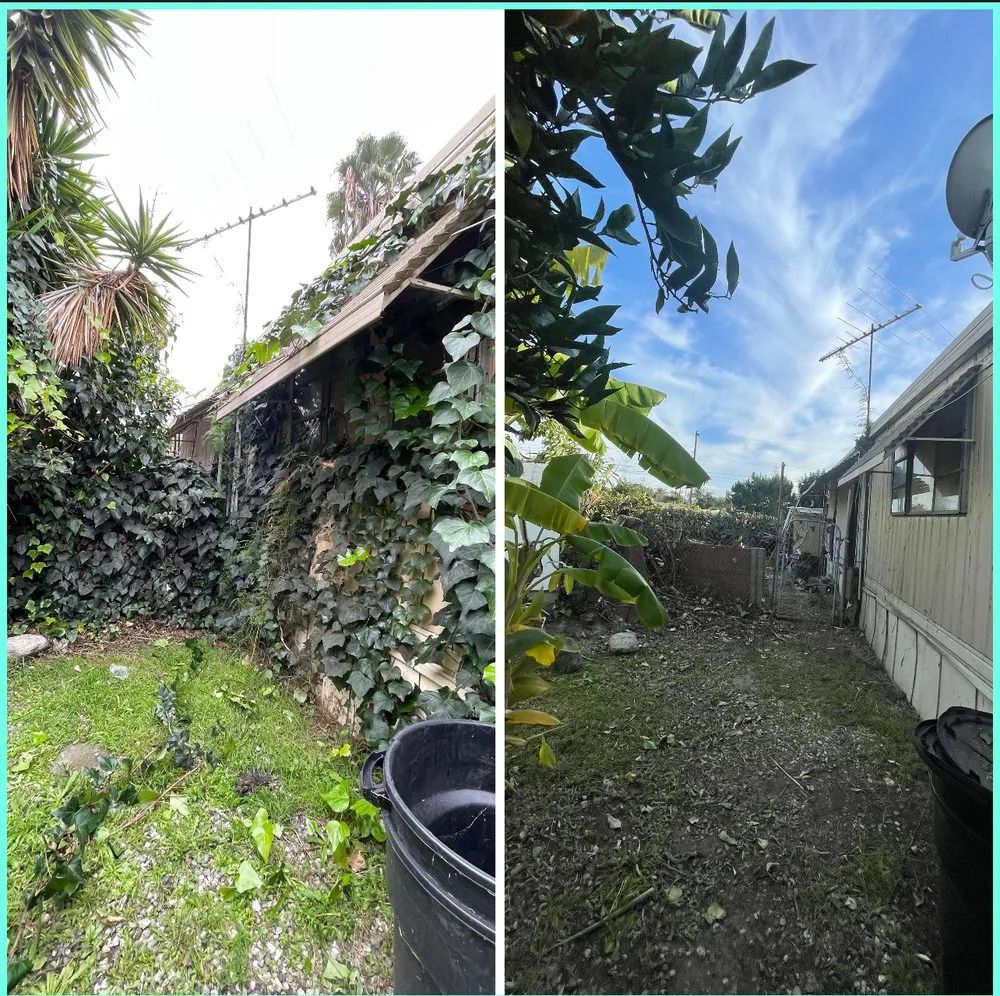 Expert lawn care service near you across Long Beach, CA - JP Landcape