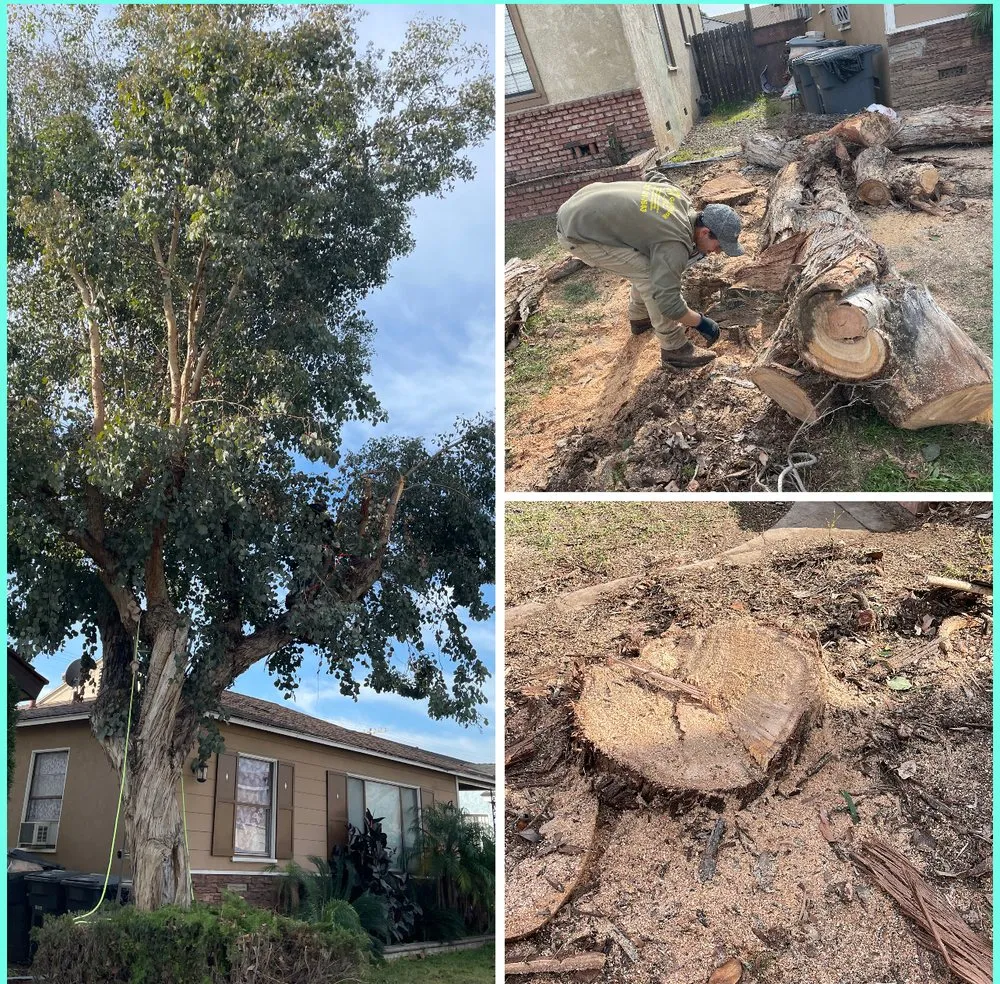 Affordable garden landscaping in Long Beach, CA - JP Landcape