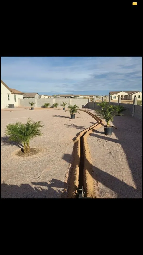 Reliable landscape installation in Phoenix, AZ by Jp landscape & maintenance