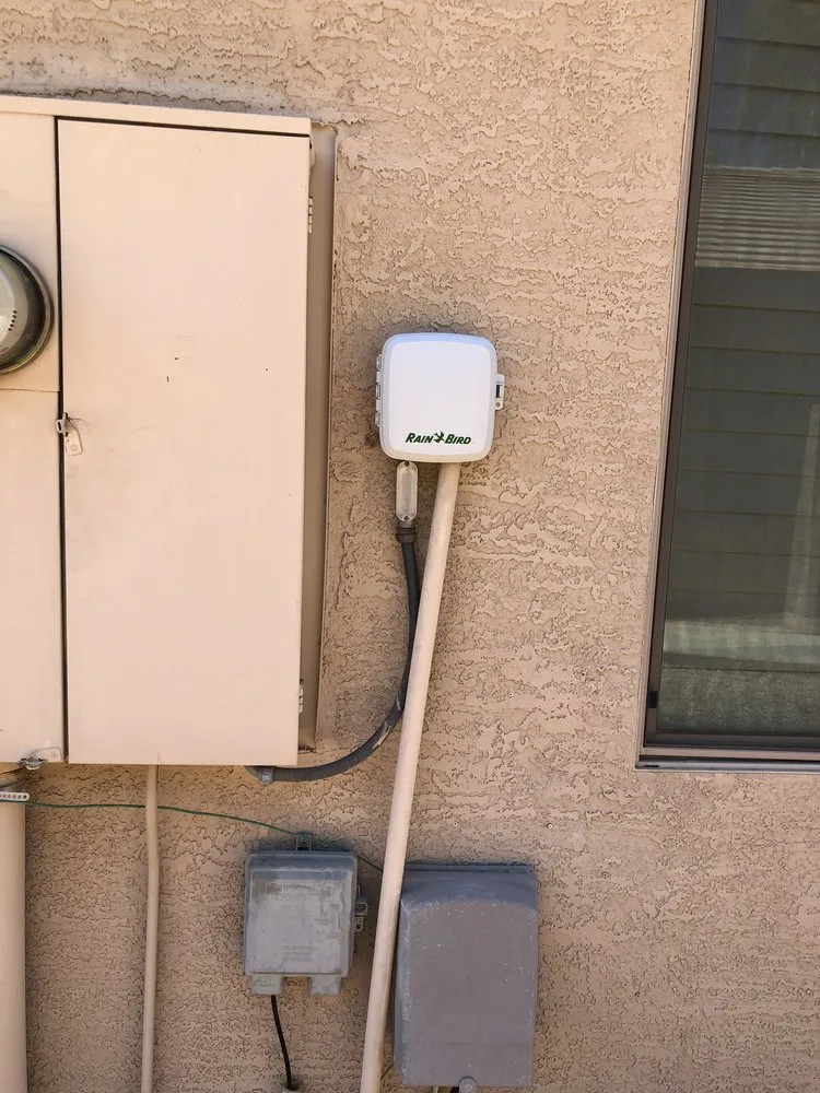 Local yard cleanup service in Phoenix, AZ - Jp landscape & maintenance