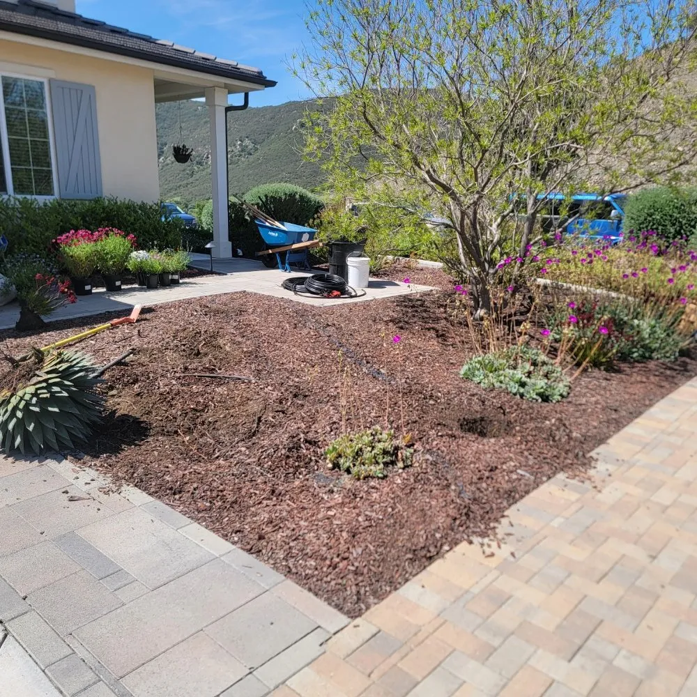 Expert yard maintenance in Escondido, CA - JP Landscape