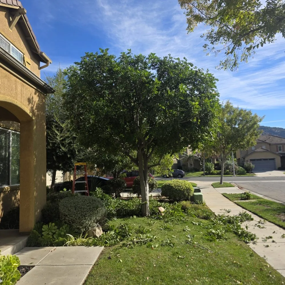 Affordable outdoor landscaping with custom design in Escondido, CA by JP Landscape