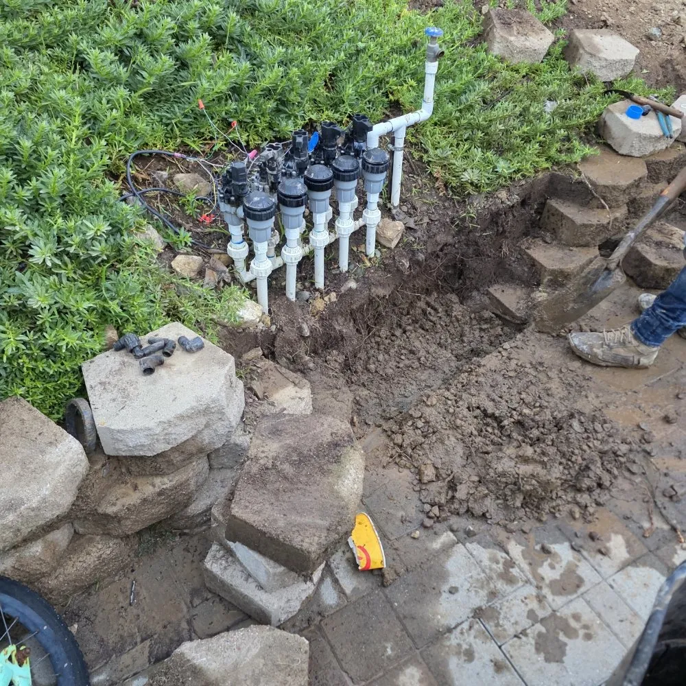 Custom landscape installation for homes in Escondido, CA by JP Landscape