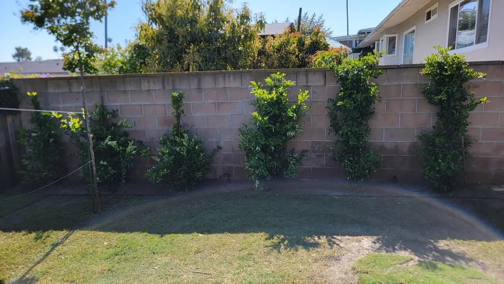 Professional landscape design for homes in Escondido, CA by JP Landscape