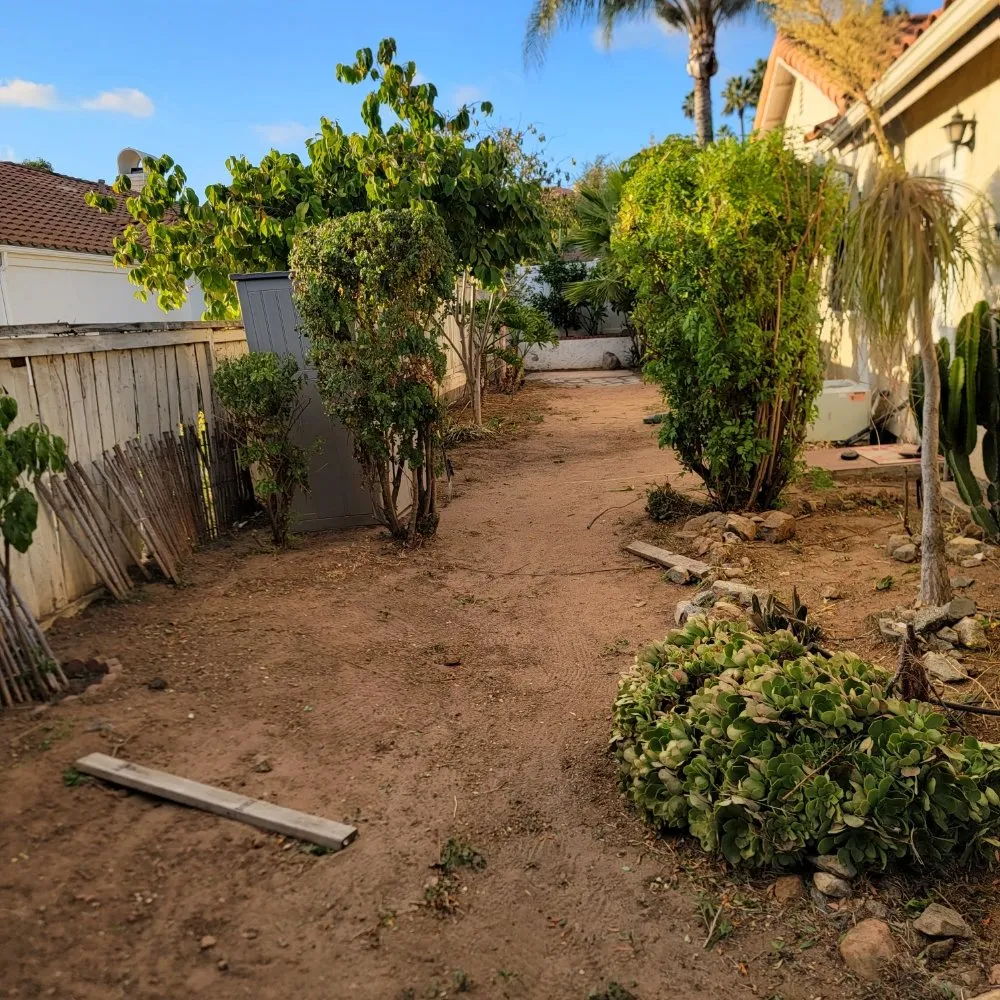 Professional outdoor landscaping in Escondido, CA - JP Landscape