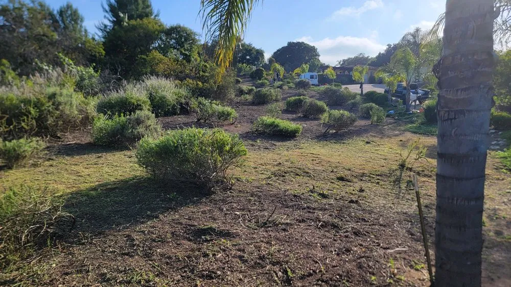 Professional landscaping services experts serving Escondido, CA - JP Landscape