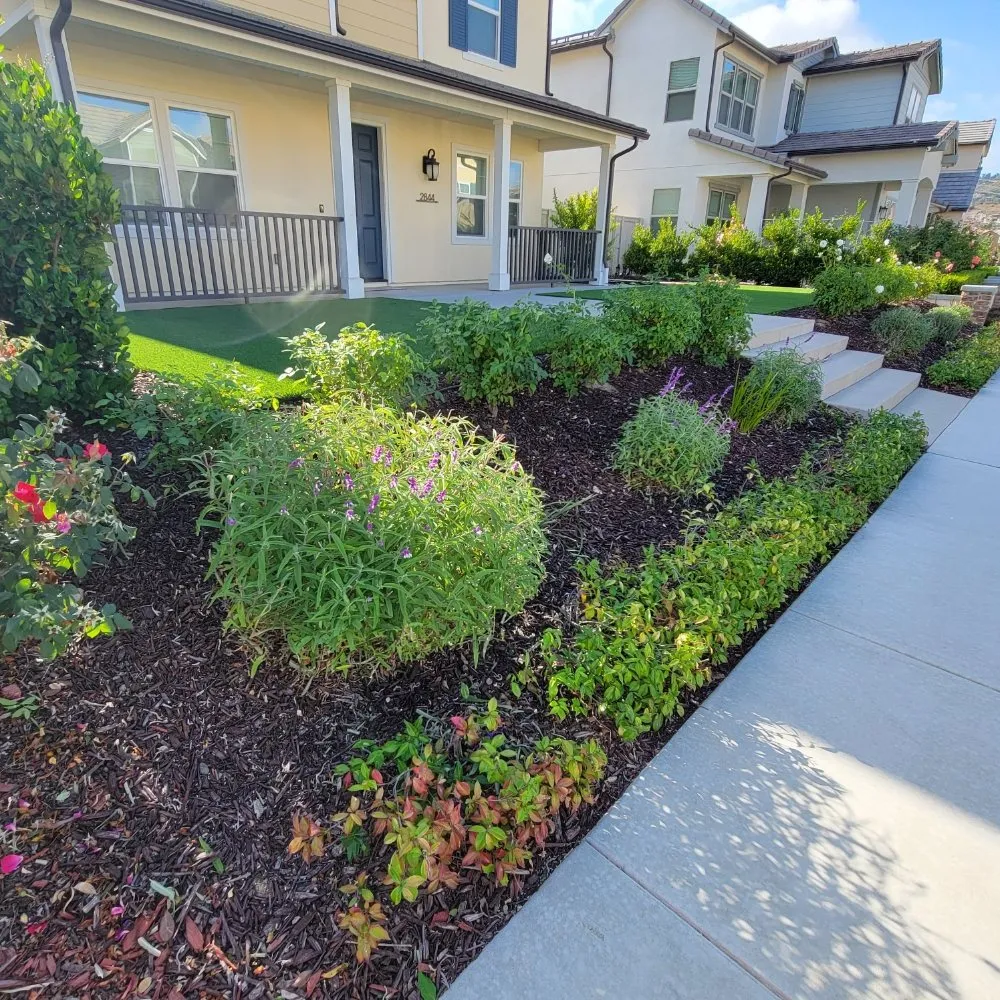 Trusted landscaping services with custom design across Escondido, CA - JP Landscape