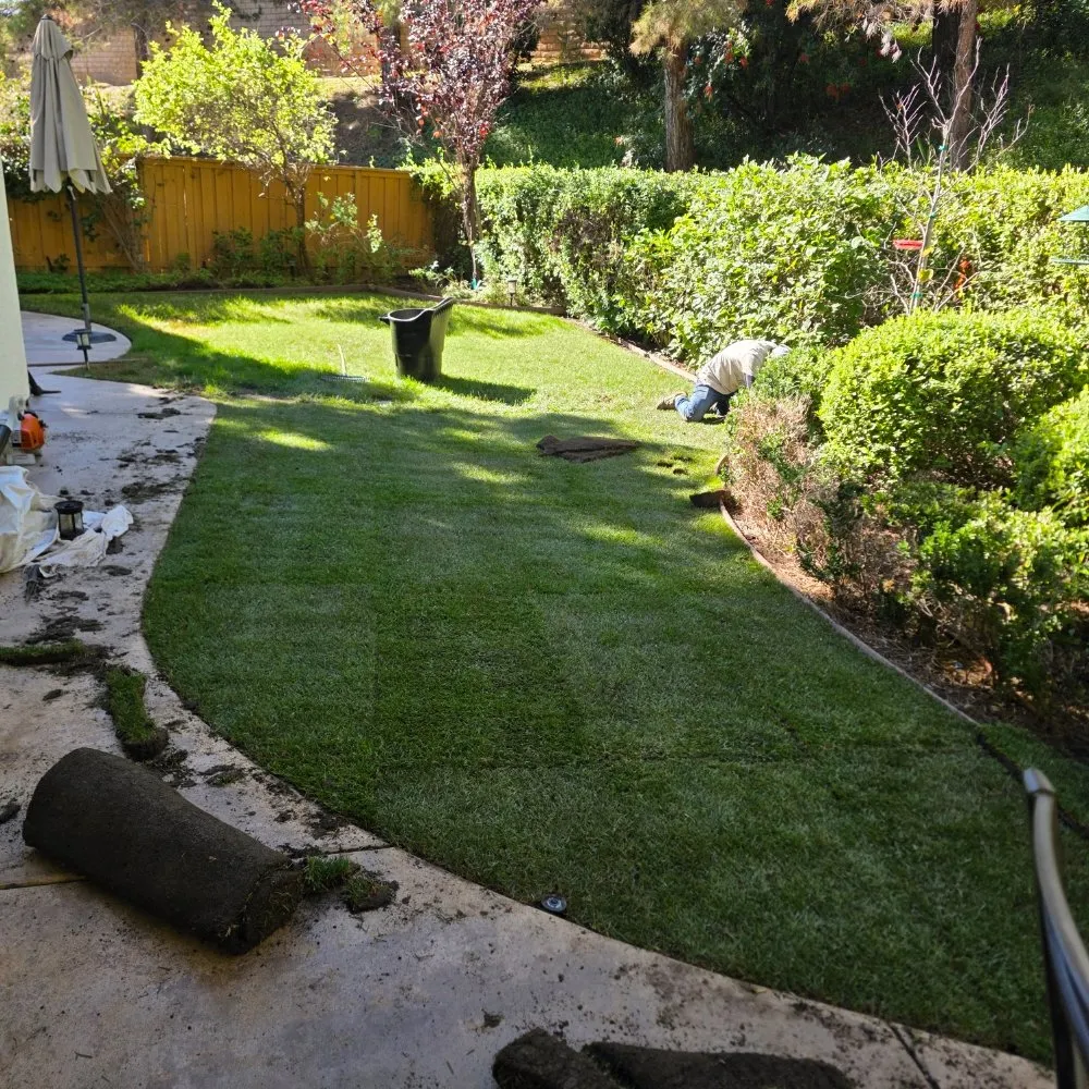 Trusted yard maintenance for beautiful yards across Escondido, CA - JP Landscape