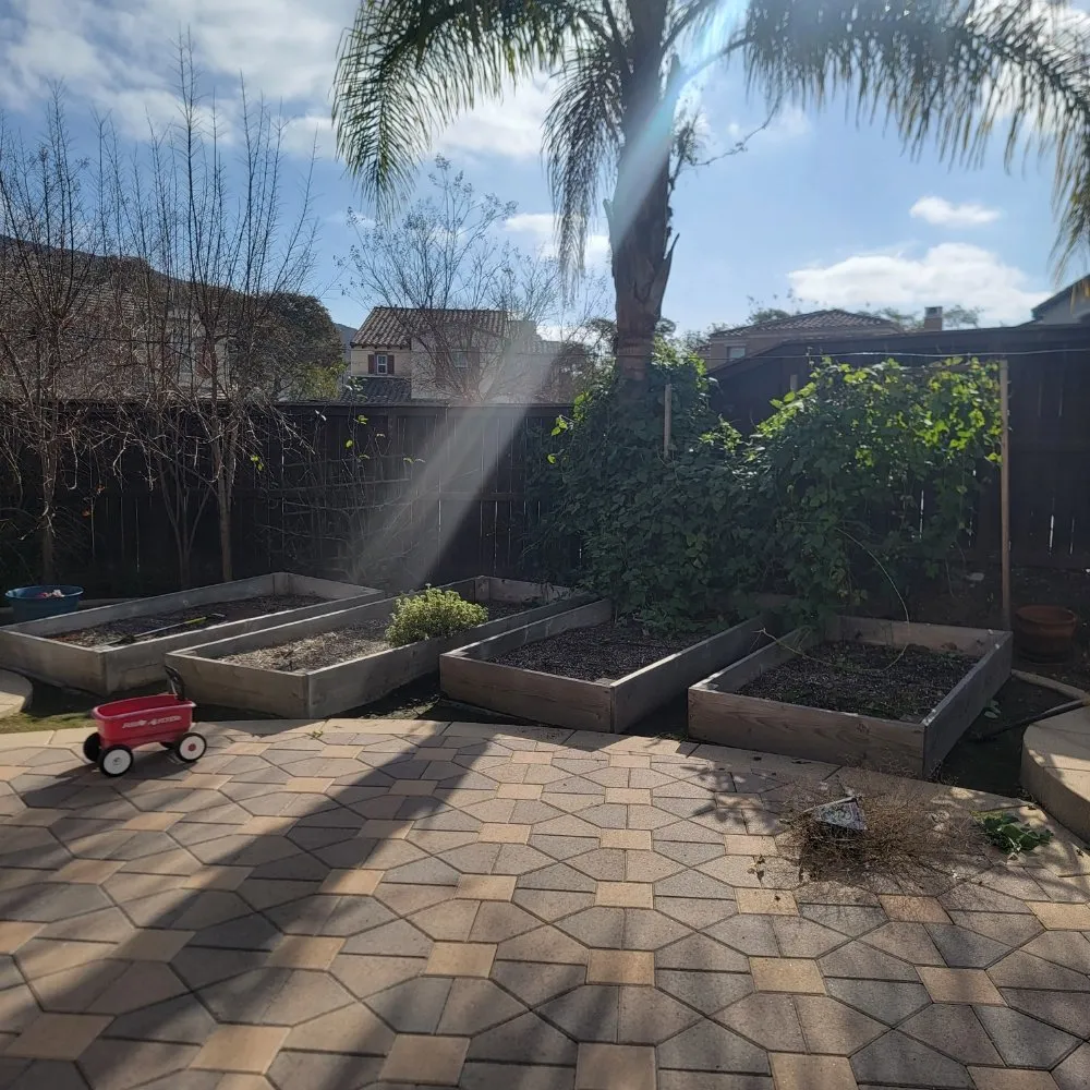 Local lawn care service in Escondido, CA by JP Landscape