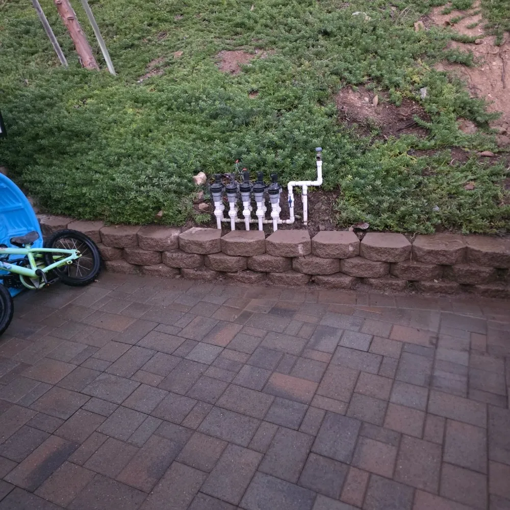 Custom yard maintenance experts serving Escondido, CA - JP Landscape